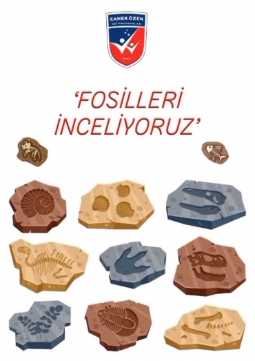 1. ve 2. sınıflarımızla Laboratuvar dersinde ‘Fosiller’ konusunu tartıştık. Toprağın içinde bulunan örnekleri inceledik.