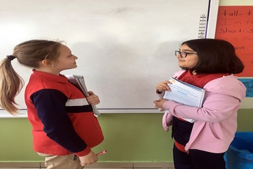 5. Sınıf / Veri toplama ve Değerlendirme