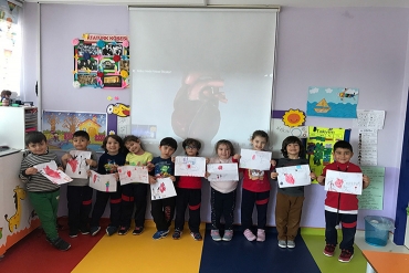 6 yaş A grubu / Nabız Nedir?