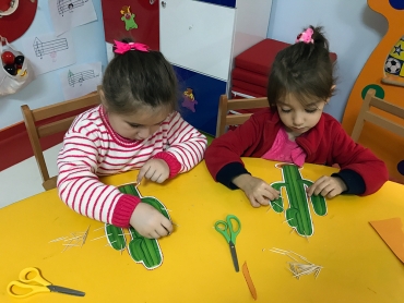 5 Yaş / Kaktüs