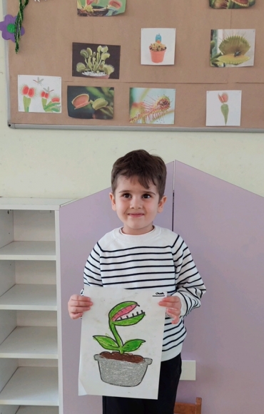 5 yaş B grubu öğrencileri Türkçe-Tema dersinde Sinekkapan Bitkisini tanıyarak, konu ile ilgili etkinliklerini yaptılar.