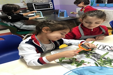 6 yaş A grubu / Cacık Yapımı