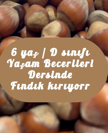 6 yaş D sınıfı yaşam becerileri dersinde farklı materyaller ile fındık kırma çalışması yaptı. Kendi işlerini kendileri başarmanın sevinciyle daha zevkli etkinliği tamamladılar .