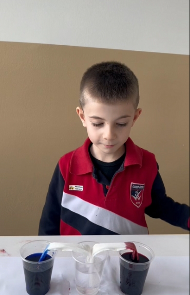 1/A sınıfı ile Laboratuvar dersinde peçete, gıda boyası ve suyla ‘kılcallık’ kavramını deney yardımıyla gözlem yaparak öğrendik.