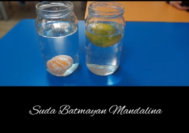 Anasınıfı 5 Yaş B Grubu öğrencileri Fen ve Doğa dersinde Suda Batmayan Mandalina deneyini yaptılar.