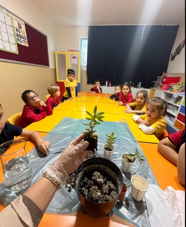 6 yaş B sınıfı Deney Gözlem dersinde bitki ekimi yaptılar.
