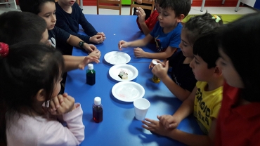 6 yaş B grubu / Tuzun buzu eritmesi