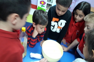 6 yaş B grubu / Kuğular neden suda batmaz?