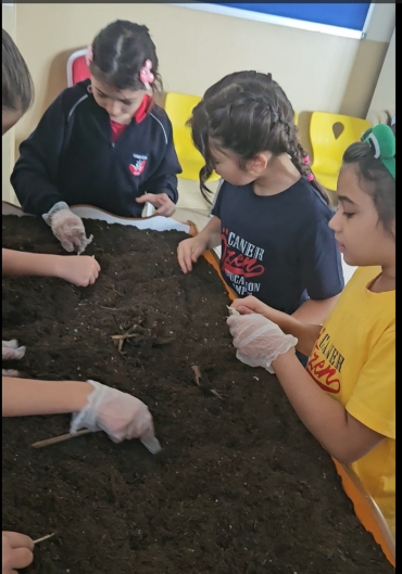 3C sınıfı Laboratuvar dersinde fosil avcısı etkinliği yaparak hem eğlendiler hem öğrendiler.