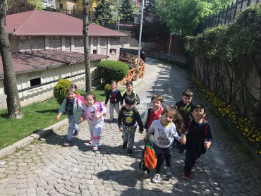 Evcil Hayvanlar Parkı Gezisi