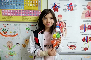 6.Sınıf / Solunum Sistemi