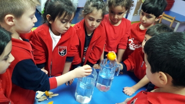 6 yaş B grubu / Turunçgiller neden suda batmaz?