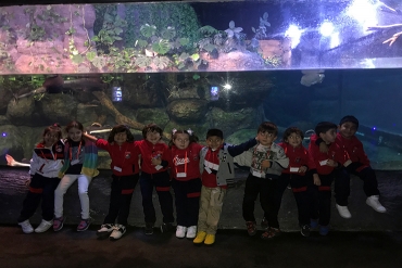 6 yaş A grubu / Aqua Vega