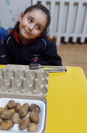 Anasınıfı 5 Yaş C Grubu Öğrencileri Yaşam Becerileri dersinde maşa kullanarak Ceviz Aktarma çalışması yaptılar.